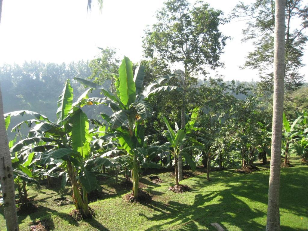 Sanggingan Villa Ubud  Room photo